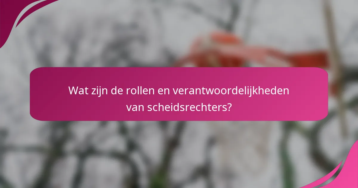 Wat zijn de rollen en verantwoordelijkheden van scheidsrechters?